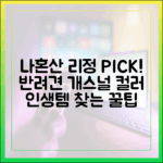 나혼산 리정, 반려견 침대 & 개스널 컬러 꿀팁 3가지
