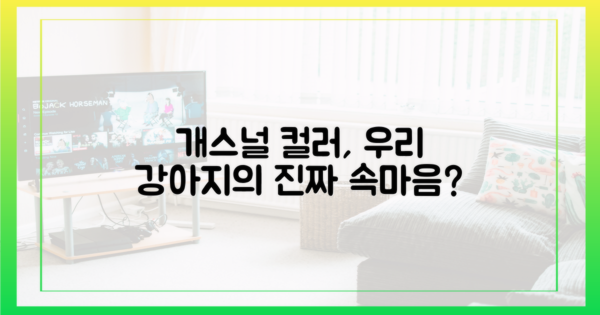 개스널 컬러', 강아지 심리에 영향을 줄까?