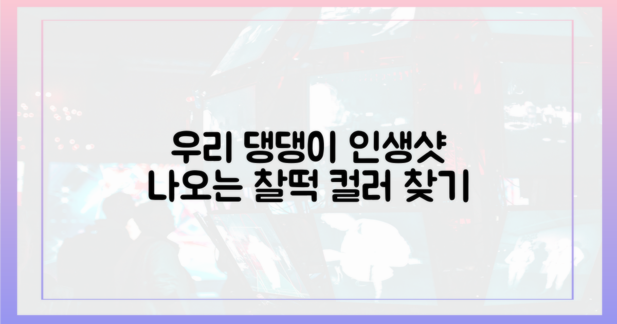 내 강아지 퍼스널 컬러, 어떻게 찾을까?