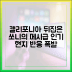 누구나 반한 쏘니의 메시급 매력, 캘리포니아 강타