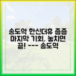 송도역 한신더휴 ‘줍줍’ 인기, 지금이 마지막 기회일까?