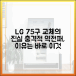LG 75구 교체 미스터리, 역전패 완벽 가이드