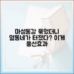 초보자도 쉽게 이해하는 마성동강 토허제 풍선효과