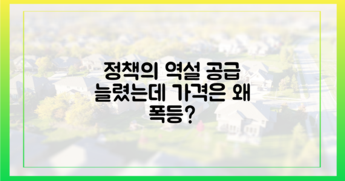정책의 역설: 공급 신호와 가격 급등