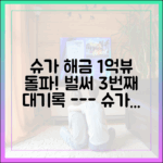 초보도 쉽게 이해하는 슈가 '해금' 1억뷰, 3번째 기록