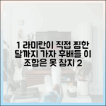 누구나 예뻐할 '달까지 가자' 라미란의 후배들