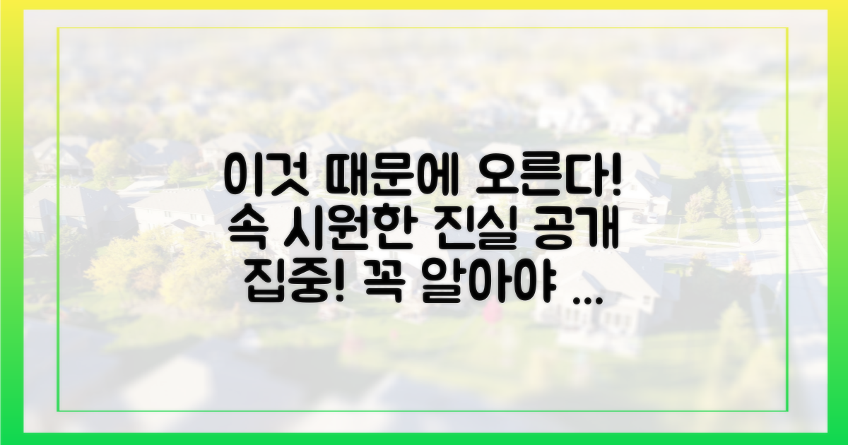 왜 오르는지 속 시원히 밝혀드립니다