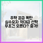 무조건 주택공급 왕창 늘어난다?" 실수요자의 충격적인 선택