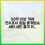 잠실 중개업소 20억 이상 거래 전수조사, 셔터 내린 이유 3가지
