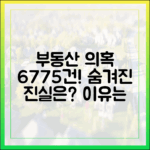 올해 부동산 위법 의심 거래 6775건, 그 이유는?
