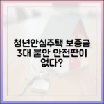 보증금 안전판 없는 청년안심주택 3대 불안