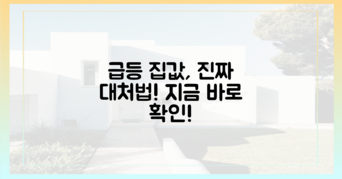급등 집값, 대처법은?
