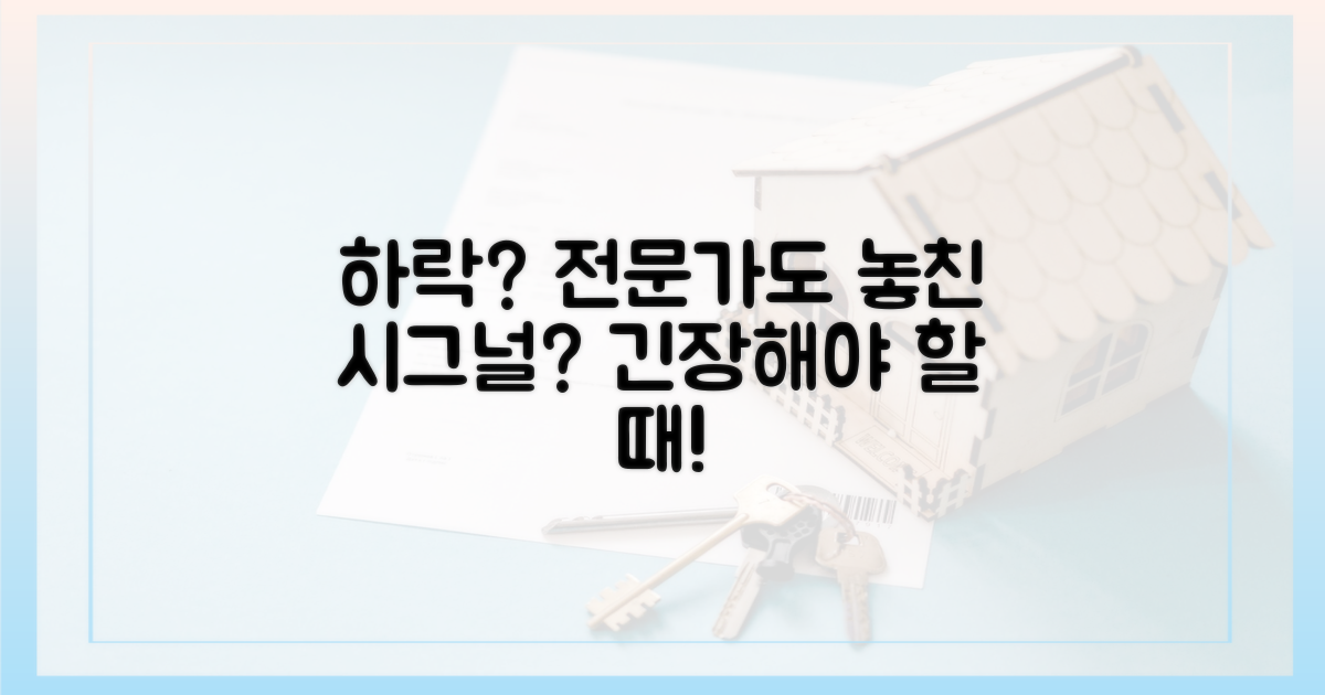 하락 가능성? 전문가 전망은