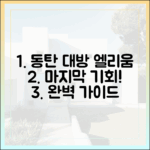 동탄호수공원 대방 엘리움, 마지막 자리 완벽 가이드