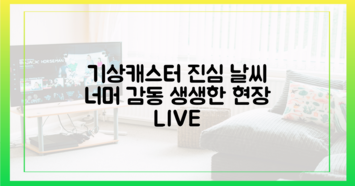기상캐스터의 진심을 느껴보세요