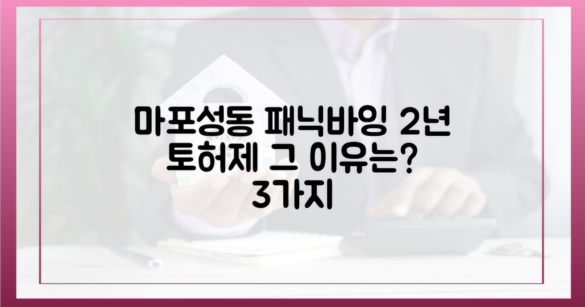 2년 토허제, 마포·성동 패닉바잉 3가지
