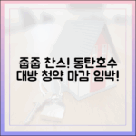 초보자도 줍줍! 동탄호수 대방 무순위 청약 마감 임박!
