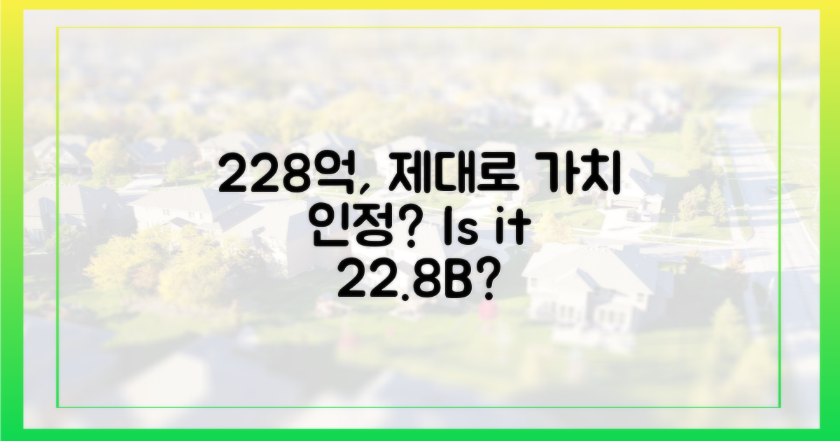 228억, 가치 제대로 인정받았나?