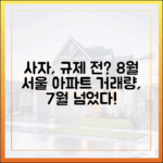 규제 전 사자! 8월 서울 아파트 거래량, 7월 넘었을까?