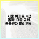 8월 서울 아파트 4천 돌파! 꿈틀대는 대출 규제 sonras
