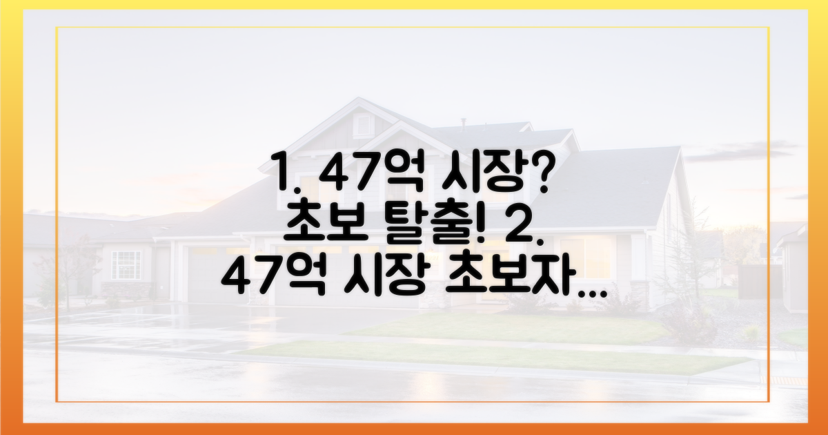 47억 시장, 초보자는 어떻게?
