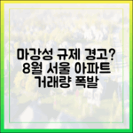 마강성 규제 경고? 8월 서울 아파트 거래량 '폭발