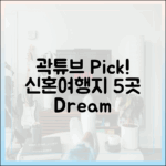 곽튜브 Pick! 신혼여행지 5곳