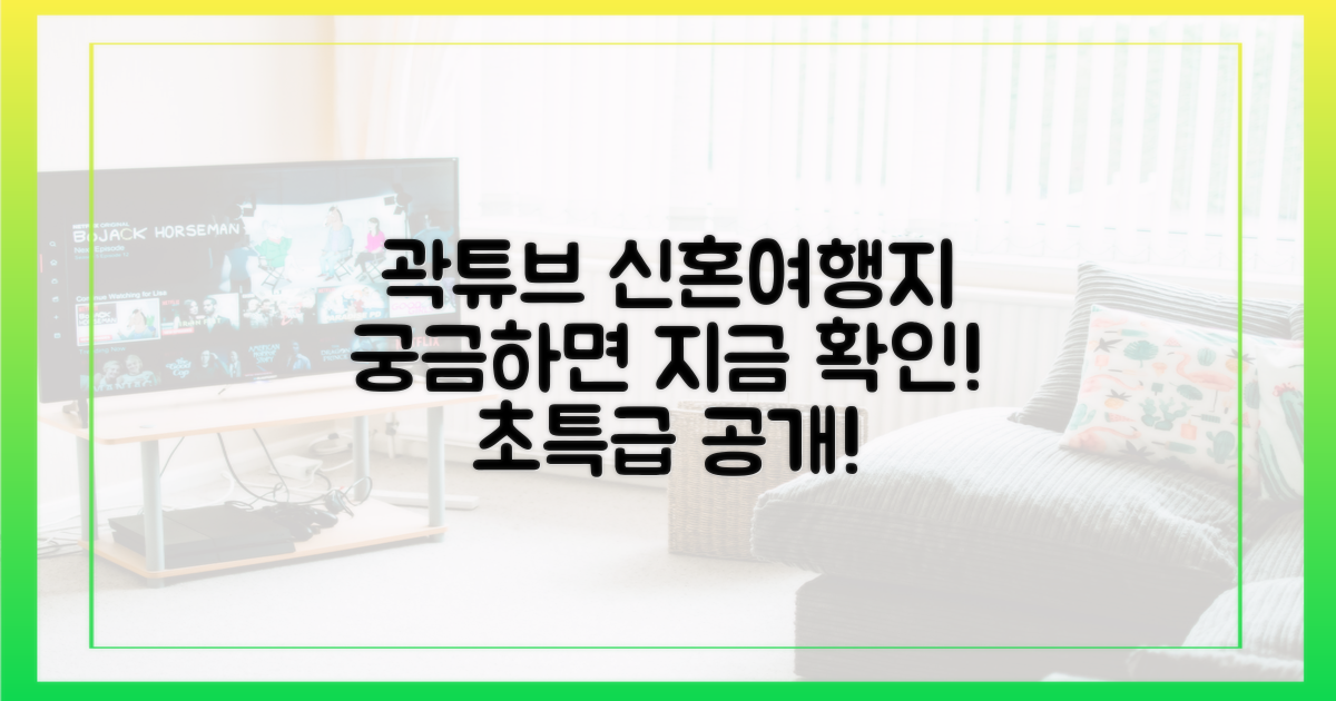 곽튜브의 신혼여행지, 지금 확인하세요!