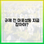 규제 전 "지금 사자"? 마포 실거래가, 성동 호가 상승 이유는?
