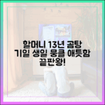 할머니 기일 생일에 곰탕 13년, 애틋함 마스터!