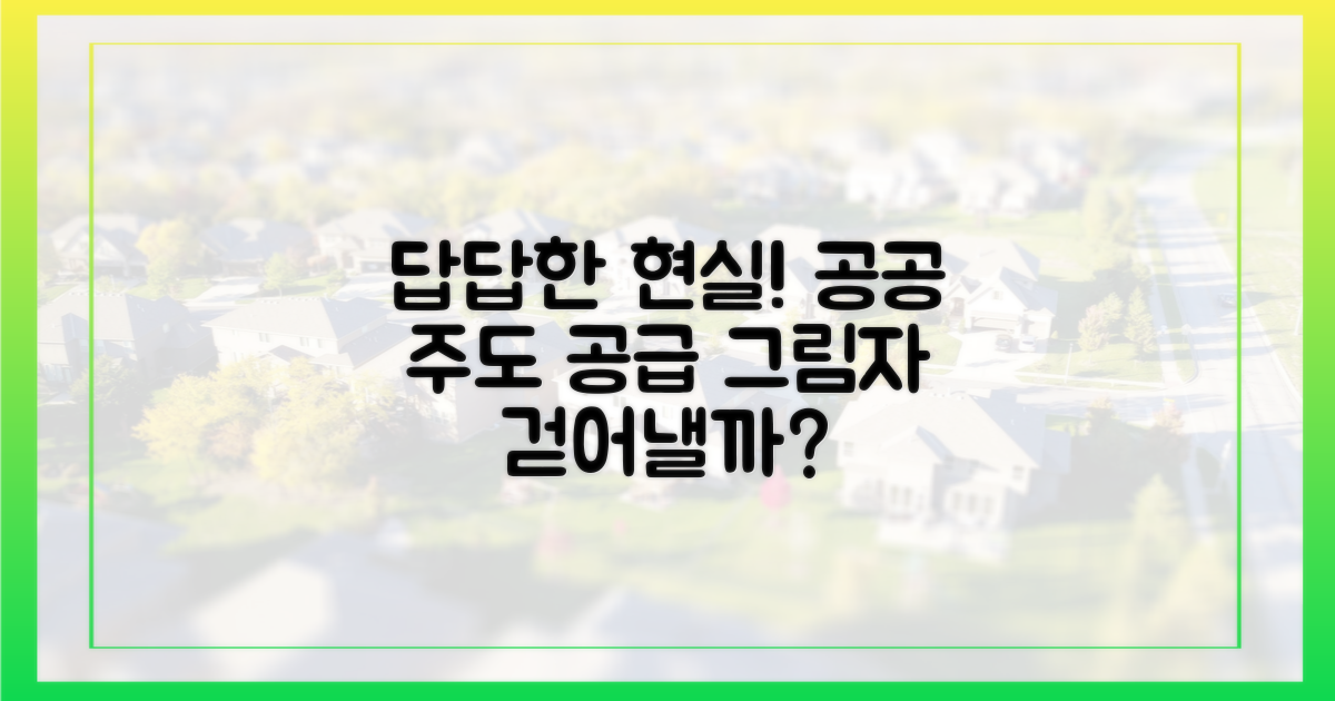 공공 주도 공급, '답답한 현실