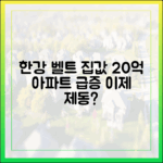 20억 아파트 급증 제동? 한강 벨트 집값, 정조준일까?
