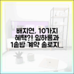 솔로지옥4 배지연, 임하룡과 1솥밥 계약 10가지 혜택?