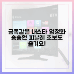 초보자도 즐길 '금쪽같은 내스타' 엄정화-송승헌 피날레 관전!