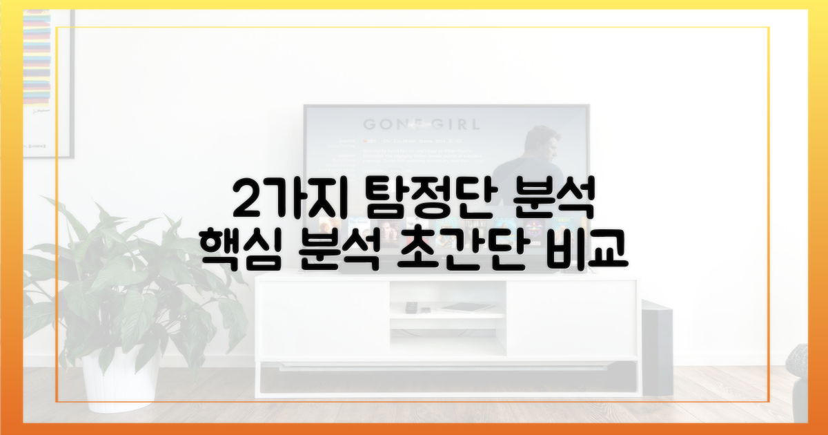 2가지 탐정단 분석