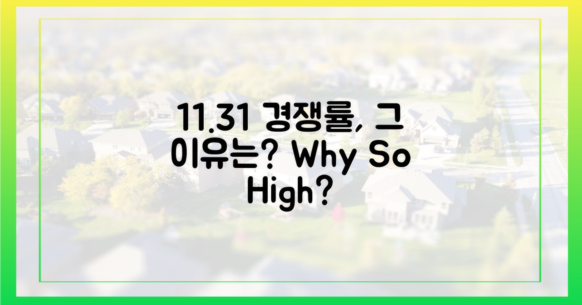 왜 11.3대1 경쟁률일까?