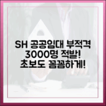 초보도 꼼꼼! SH 공공임대 부적격 3000명 적발