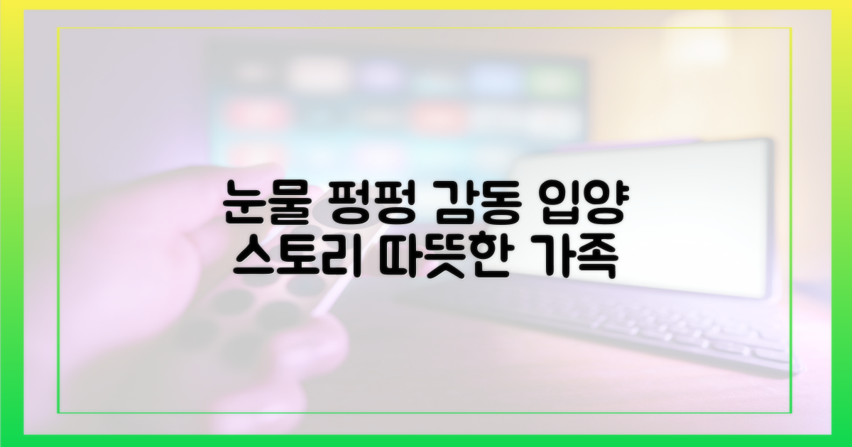 입양 사연에 눈물 펑펑