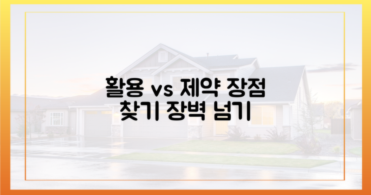 활용 방안 vs 제한 요인