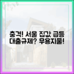 충격! 서울 마·성·강·광 집값 상승폭 커져, 대출규제 효과 떨어지나?