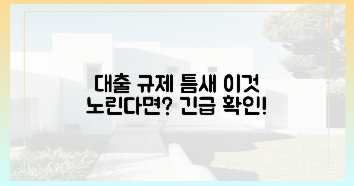대출 규제 틈새 파고드나