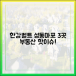 성동·마포 '한강벨트' 3곳, 부동산 전화통 불난다!