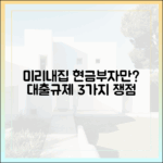미리내집 '현금부자' 신혼부부만? 대출규제 3가지 쟁점