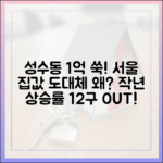 성수동 1억 쑥! 작년 상승률 서울 12구 추월?