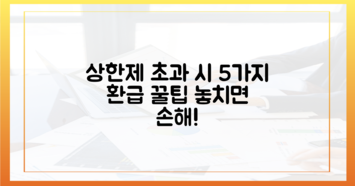 5가지, 상한제 초과 시 환급