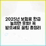 2025년 본인부담상한제 환급금, 놓치면 후회할 최신 정보 가이드