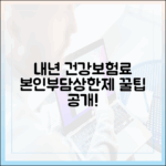 내년 건강보험료, 본인부담상한제 덕분에 절약하는 법