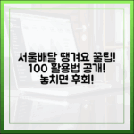 서울배달 땡겨요 100% 활용 꿀팁