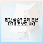 집값 상승, 규제 옵션 대기! 초보도 알기 쉬운 대책은?