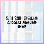 믿을 수 없는! 지산 잔금대출, 세금·매출로 실수요자도 허용해야